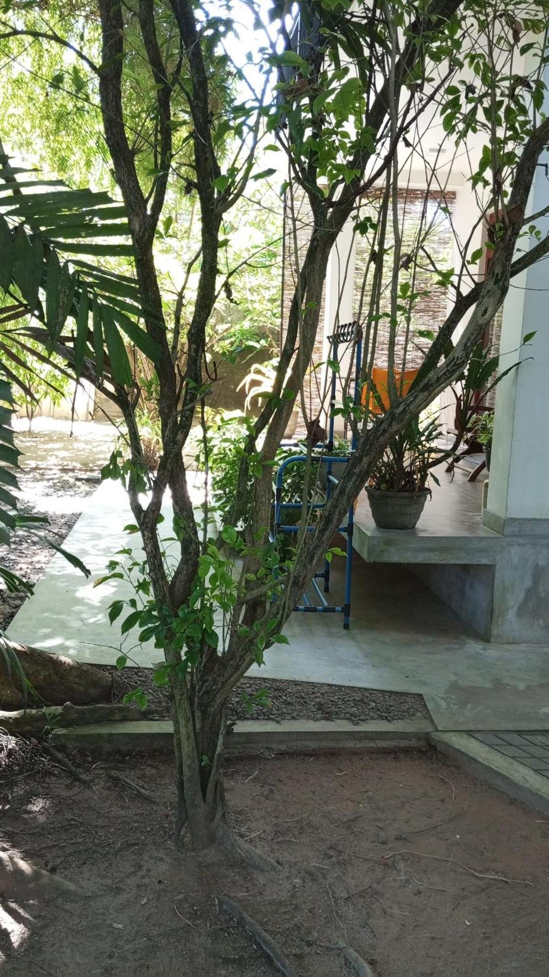 Green Corridor - Ahangama Exterior foto