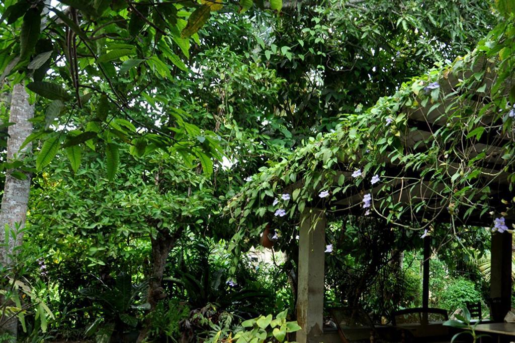 Green Corridor - Ahangama Exterior foto